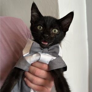 Meet your Posher, Hailey